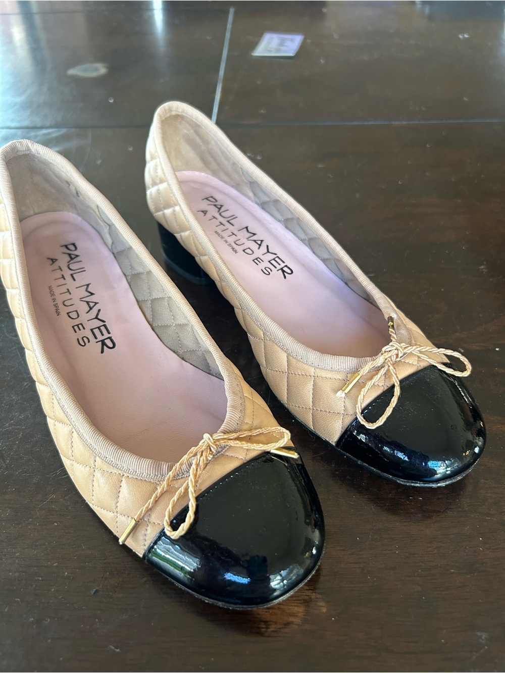 Paul Mayer attitudes ballet shoe